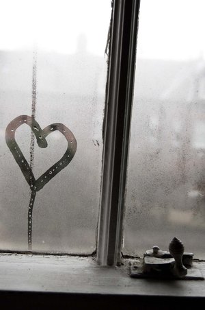 صورة من التدوينة: 268370429.jpg