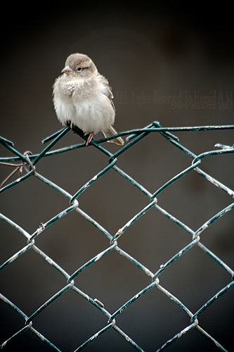 صورة من التدوينة: 896048c75c85705b1.png
