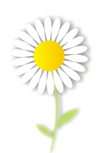 صورة من التدوينة: d-203x300.png