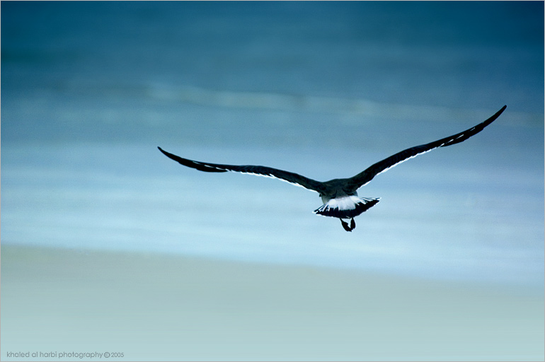 صورة من التدوينة: departure_by_itash.jpg