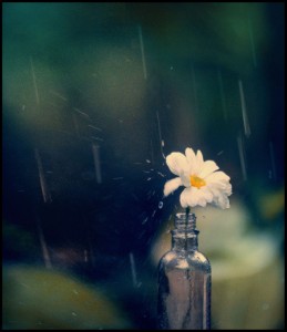 صورة من التدوينة: like_a_sad_song___by_toyib-259x300.jpg