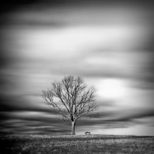 صورة من التدوينة: time_after_time__by_goodfoot42-300x300.jpg
